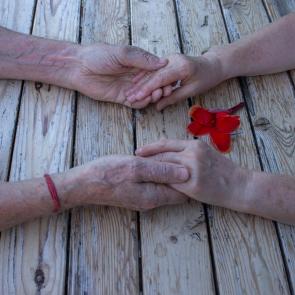 ����: ������ ��� ������� 