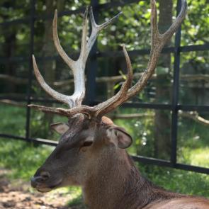 ����: �� ������