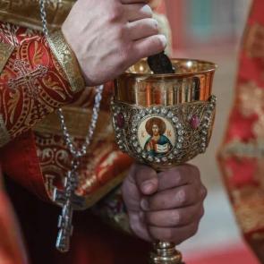 ����: ������ 