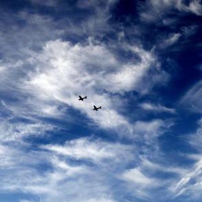 ������������ ����������