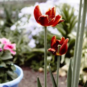 �������� � �����