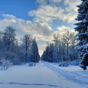 ����: ������ ������ ���������������� �����