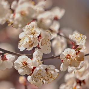 ����: ���! �����! 