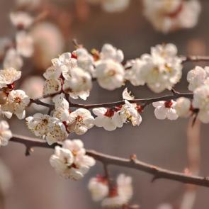 ����: � ����� ����� ����������... 