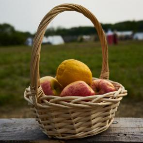 ������ �� ����������