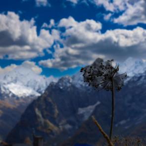 �������� ����