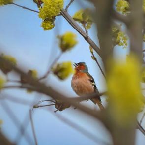 ����: ���������� ������ ������.