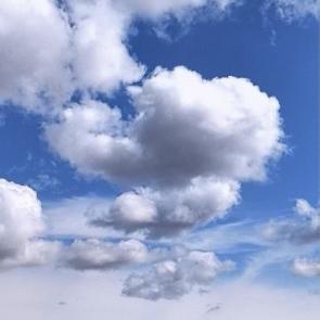 ����: ���������� �������