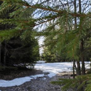 ����: ��������� ���� ������