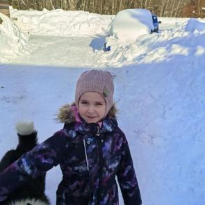 ����: ���������