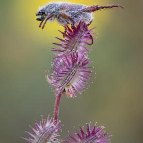 ����: ���.����������.-)