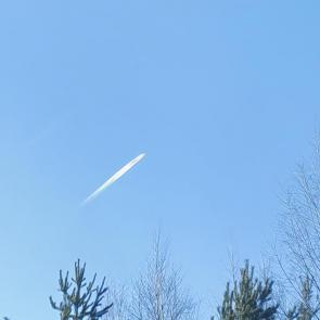 ����: ����