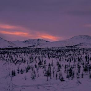 �������� ��������� ����������