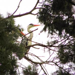 ����: ������� �������� ������ 