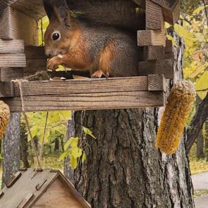 ��� ������������ ��������