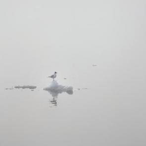 ����: � ������