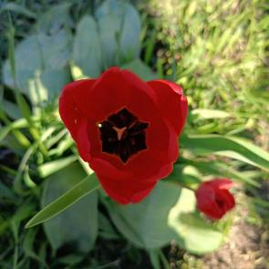 ���������� ������