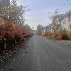 ����: �������� 