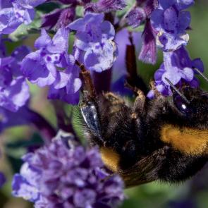 ����: ���� � ������ 