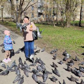 ����: ������