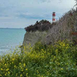 ����: ����