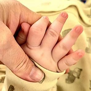 ����: ������ � ����� ����