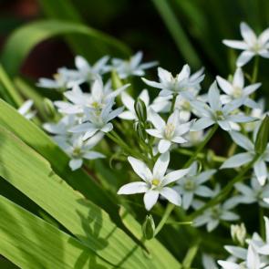 ���� ��������: 