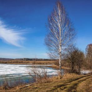 ����: ��������� �����. 