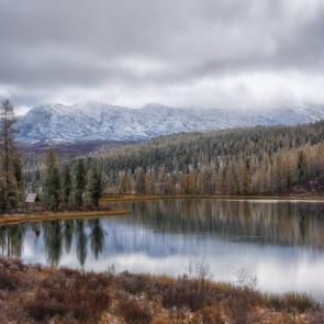 ����: ������ �����. 