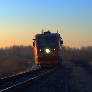 ����: �����