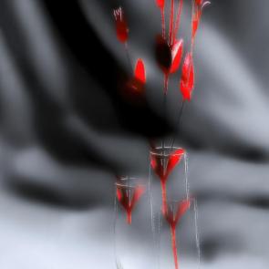 ����: �������.