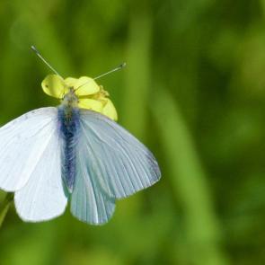 ����: �� ������