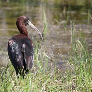 ����: �� ��������