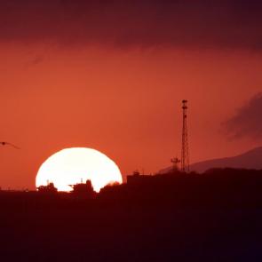 ����: �����