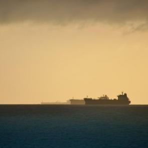 ����: �������