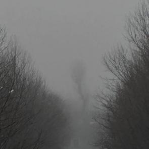 ����: �����