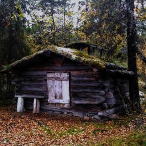 ����: � ���������� �������