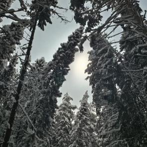 ����: 