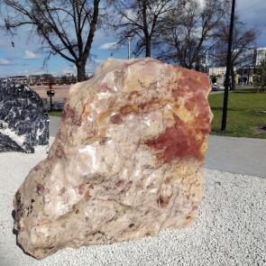 ����: �������