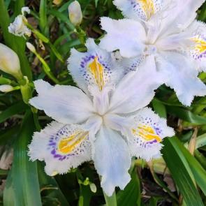 ���� ��������: ���� ��������