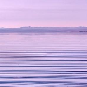 ����: Violet