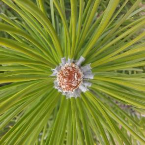 ����: ��������