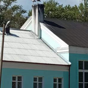 ����: �����