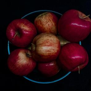 ����: ������ ������