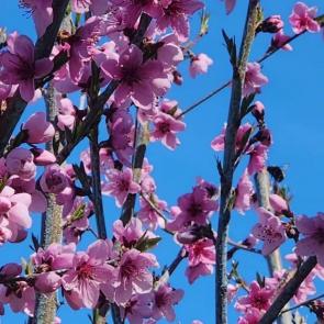 ����: ����� ������!