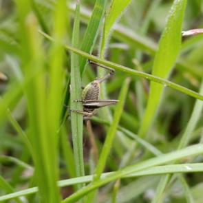 ����: ��� ��������� �� ���������