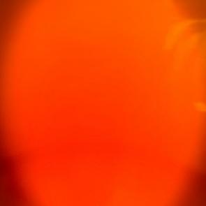 ����: ������ ���