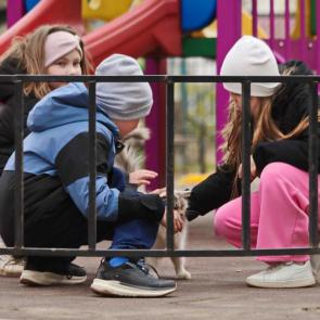 ����: ������ � �������� � �������. 