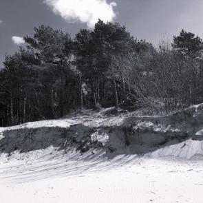 ����: 