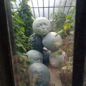���� ��������: ������